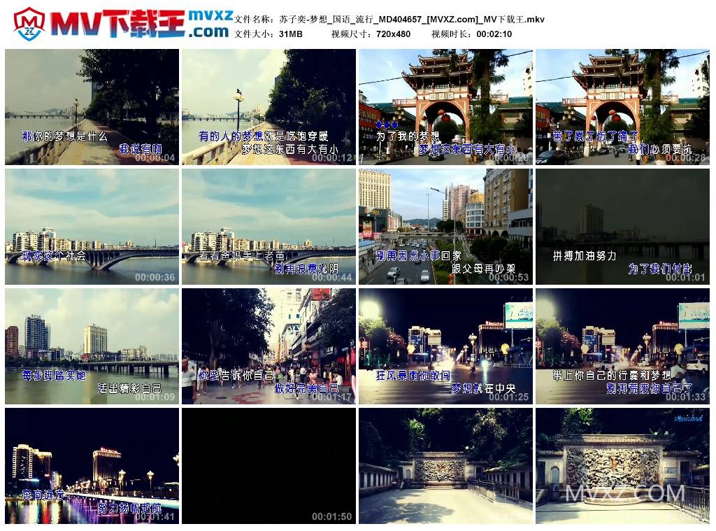 苏子奕-梦想_国语_流行_MD404657